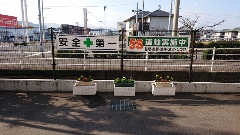 20200304002.jpg