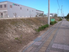 20200401000.jpg